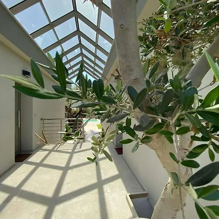 Villa άρωμα ελιάς *